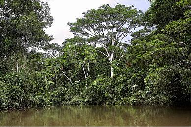 Epic圣诞每日喜加一更新 免费领取《二次灭绝》